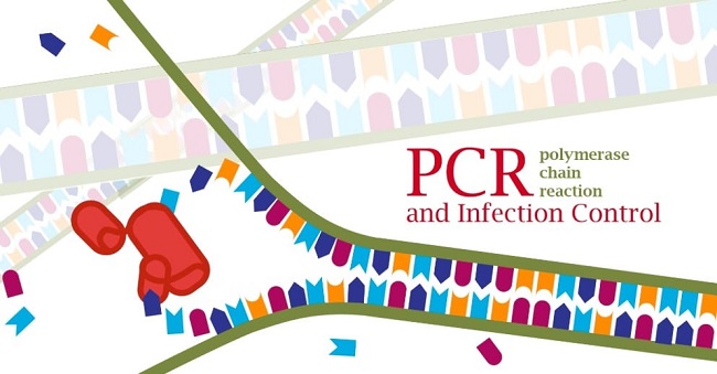 Triển khai kỹ thuật PCR trong chẩn đoán bệnh truyền nhiễm